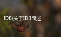 IDB(關于IDB簡述)
