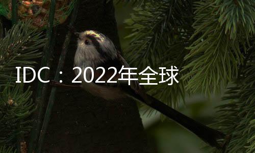 IDC：2022年全球AI市場規模達到4328億美元 增長近20%