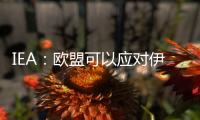 IEA：歐盟可以應對伊朗原油突然停供