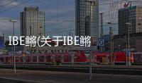 IBE鳉(關于IBE鳉簡述)