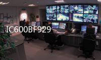 IC600BF929  IC660FP900K