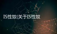 IS性奴(關(guān)于IS性奴簡(jiǎn)述)