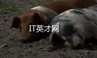 IT英才網