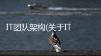 IT團隊架構(關于IT團隊架構簡述)
