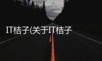 IT桔子(關于IT桔子簡述)