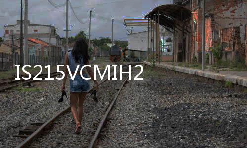 IS215VCMIH2CC  燃機卡