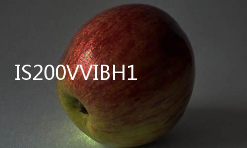 IS200VVIBH1CAB IS200VVIBH1C