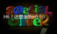 H6？還是全新H5?小號紅旗H9實車首次亮相