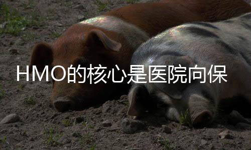 HMO的核心是醫院向保險讓利 不是健康管理