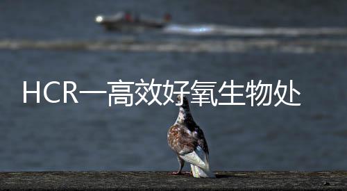 HCR一高效好氧生物處理技術(shù)
