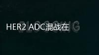 HER2 ADC混戰在即！恒瑞、科倫、榮昌加速布局搶奪市場
