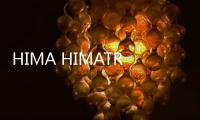 HIMA HIMATRIX F3DIO 8/8 01