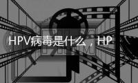 HPV病毒是什么，HPV感染癥狀及預防措施