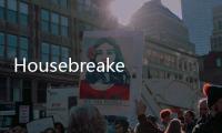 Housebreaker(關于Housebreaker簡述)