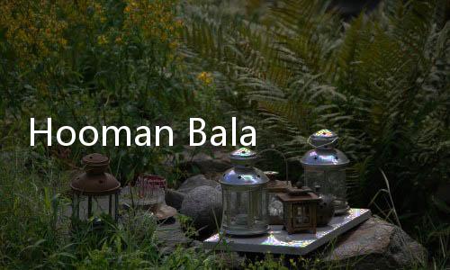 Hooman Balazadeh設計伊朗Kish RF10大廈（組圖）