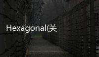 Hexagonal(關(guān)于Hexagonal簡述)