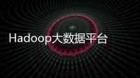 Hadoop大數(shù)據(jù)平臺(tái)集群部署與開發(fā)(關(guān)于Hadoop大數(shù)據(jù)平臺(tái)集群部署與開發(fā)簡(jiǎn)述)