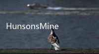 HunsonsMine(關(guān)于HunsonsMine簡(jiǎn)述)