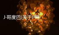 J·哥度巴(關于J·哥度巴簡述)