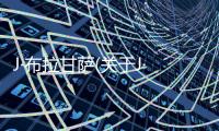 J·布拉甘薩(關于J·布拉甘薩簡述)