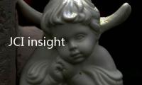 JCI insight：關(guān)鍵蛋白與阿爾茲海默癥之間的早期聯(lián)系
