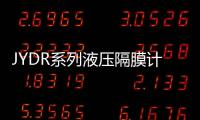 JYDR系列液壓隔膜計量泵(關于JYDR系列液壓隔膜計量泵簡述)