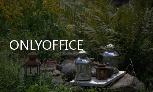 ONLYOFFICE 7.3發(fā)布，免費強大且開源的Office協(xié)作辦公套件