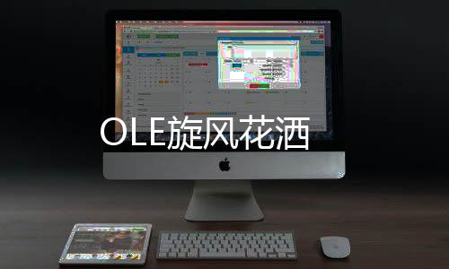 OLE旋風花灑