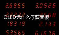 OLED憑什么俘獲面板界的心