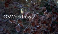 OSWorkflow(關于OSWorkflow簡述)