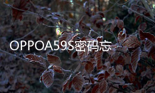 OPPOA59S密碼忘了怎么開鎖？線刷寶解鎖教程