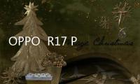OPPO  R17 Pro全網(wǎng)通手機內存不足如何清理？ROOT有用嗎？