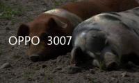 OPPO  3007 移動(dòng)4G手機(jī)無(wú)法恢復(fù)出廠設(shè)置怎么辦？系統(tǒng)恢復(fù)方法