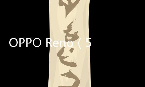 OPPO Reno（5G版/全網通）一鍵刷機教程，快速獲取Root權限