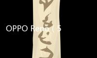 OPPO Reno（5G版/全網通）一直重啟怎么辦?手機忘記密碼怎么一鍵刷機？