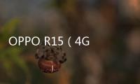 OPPO R15（4GB RAM/全網(wǎng)通）無法刷機(jī)