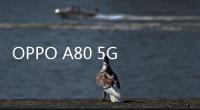 OPPO A80 5G 手機海外發布：天璣 6300 + 8G + 256G 售 299 歐元