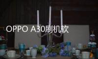 OPPO A30刷機軟件哪個好？選擇線刷寶怎么樣？線刷救磚工具