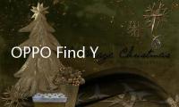 OPPO Find Y（全網通）手機怎么刷機？手機開不了機怎么辦？