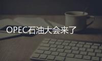 OPEC石油大會來了 看看成員國油長們怎么說