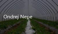 Ondrej Nepela冰球體育館（組圖）