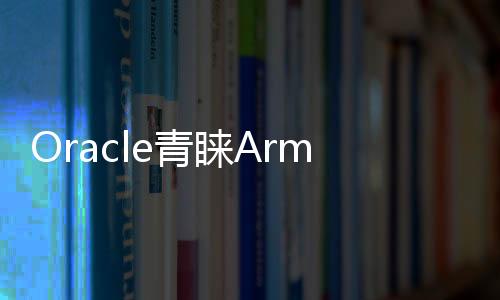 Oracle青睞Arm處理器，甚至可能徹底拋棄x86