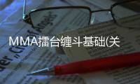 MMA擂臺纏斗基礎(chǔ)(關(guān)于MMA擂臺纏斗基礎(chǔ)簡述)