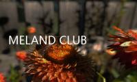 MELAND CLUB進(jìn)駐領(lǐng)展·珠江新城項(xiàng)目 2023年開(kāi)業(yè)