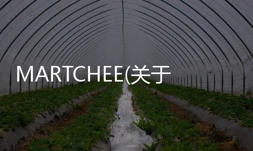 MARTCHEE(關于MARTCHEE簡述)