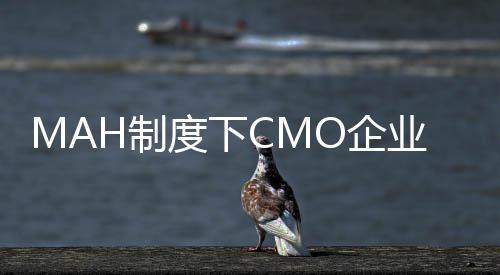 MAH制度下CMO企業迎來新的發展機遇