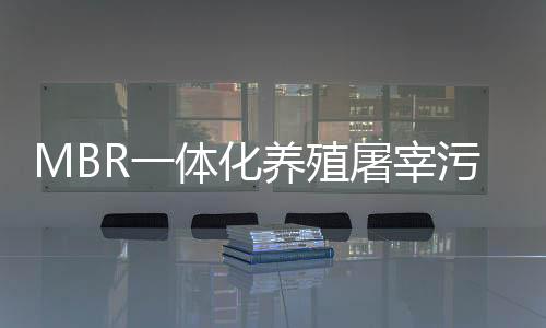 MBR一體化養殖屠宰污水處理設備