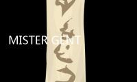 MISTER GENTLEMAN x Speedo 全新夏季聯名系列即將發售