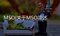MSO(關于MSO簡述)