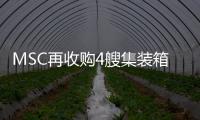 MSC再收購4艘集裝箱船